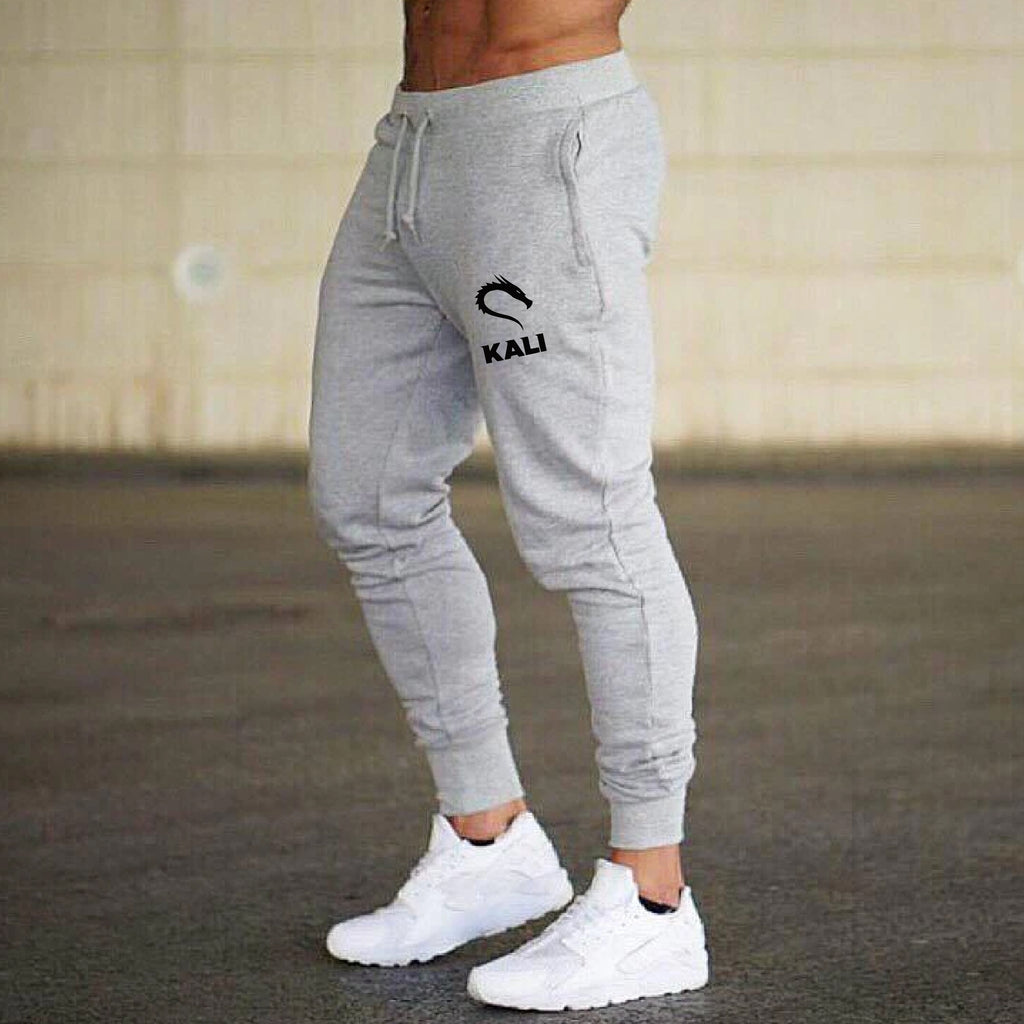 http://www.teez.in/cdn/shop/products/Kali-Linux-2-joggers-For-Men-Grey_1024x1024.jpg?v=1619776754