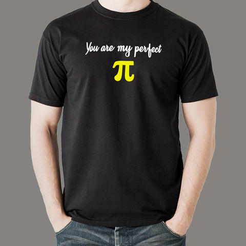 You Are My Perfect Pi Programmer Geek T-Shirt For Men Online India